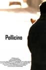 Pollicino