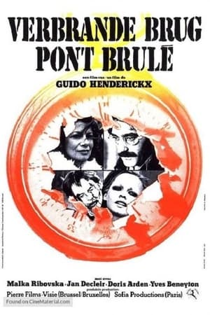 En dvd sur amazon Verbrande Brug