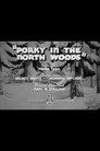 Porky in the North Woods