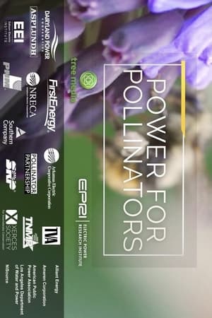 En dvd sur amazon Power for Pollinators