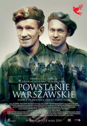 En dvd sur amazon Powstanie Warszawskie