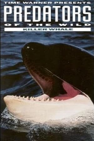 En dvd sur amazon Predators of the Wild: Killer Whale