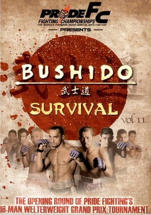 En dvd sur amazon Pride Bushido 11