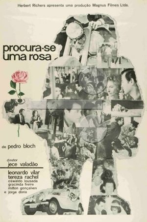 En dvd sur amazon Procura-se Uma Rosa