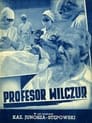 Profesor Wilczur