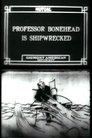 Professor Bonehead Is Shipwrecked