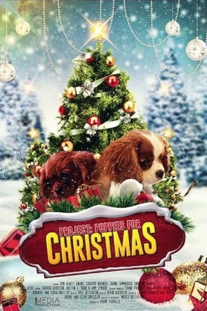 En dvd sur amazon Project: Puppies for Christmas