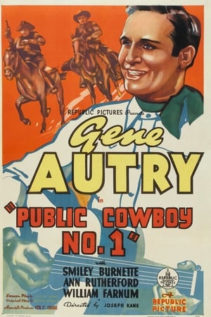 En dvd sur amazon Public Cowboy No. 1