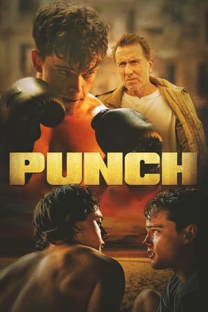 En dvd sur amazon Punch