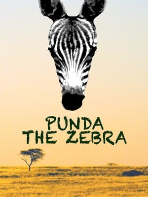 En dvd sur amazon Punda the Zebra