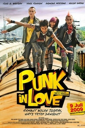 En dvd sur amazon Punk in Love