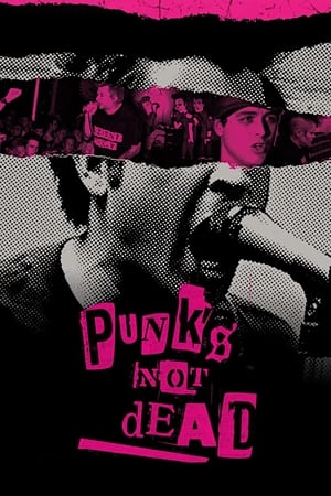 En dvd sur amazon Punk's Not Dead