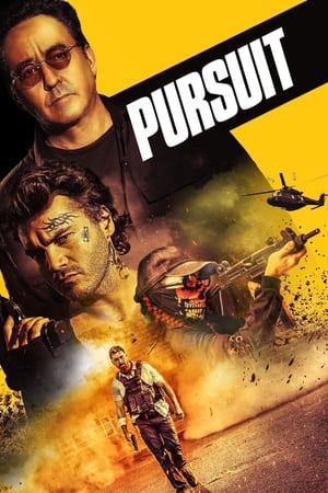 En dvd sur amazon Pursuit