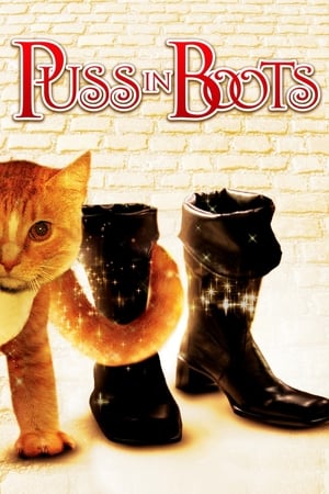 En dvd sur amazon Puss in Boots