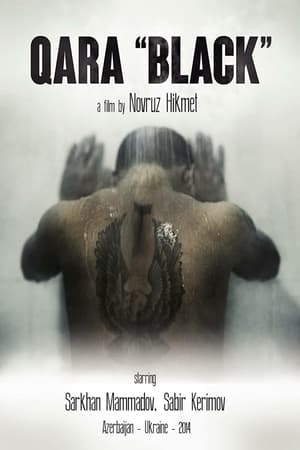 En dvd sur amazon Qara