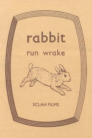 En dvd sur amazon Rabbit