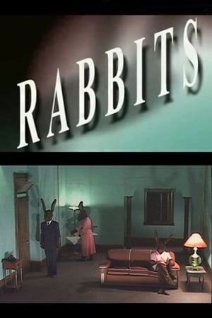 En dvd sur amazon Rabbits