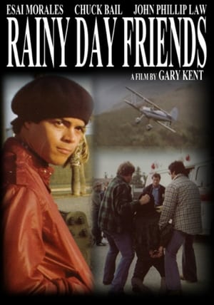 En dvd sur amazon Rainy Day Friends