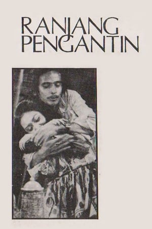 En dvd sur amazon Ranjang Pengantin