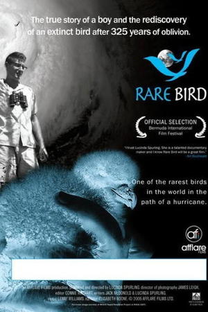 En dvd sur amazon Rare Bird