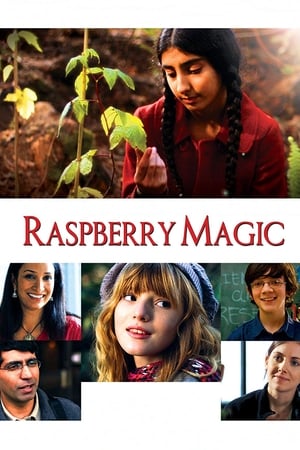 En dvd sur amazon Raspberry Magic