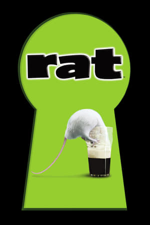 En dvd sur amazon Rat