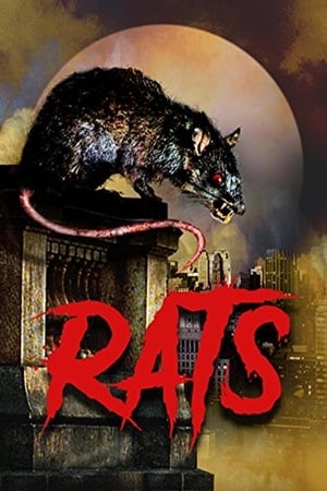 En dvd sur amazon Rats