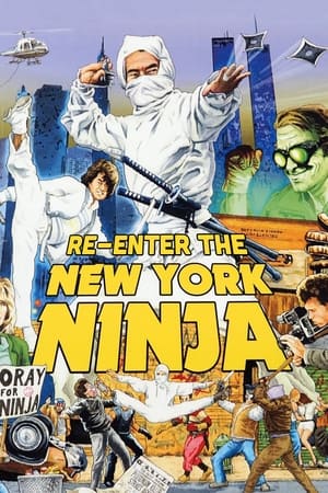 En dvd sur amazon Re-Enter the New York Ninja
