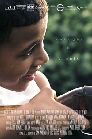 En dvd sur amazon Recoger El Viento