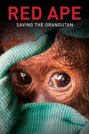 En dvd sur amazon Red Ape: Saving the Orangutan