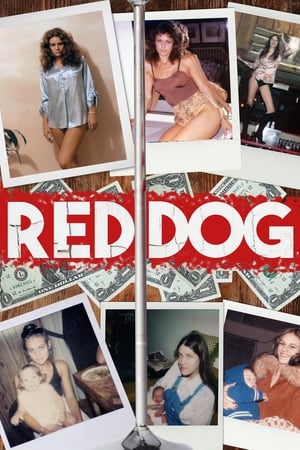 En dvd sur amazon Red Dog