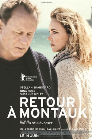 En dvd sur amazon Rückkehr nach Montauk