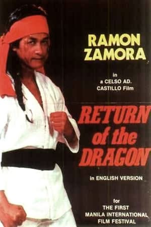 En dvd sur amazon Return of the Dragon