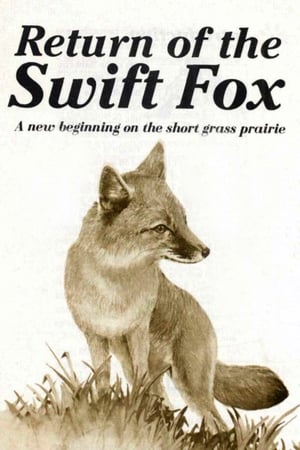 En dvd sur amazon Return of the Swift Fox