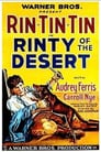 Rinty of the Desert