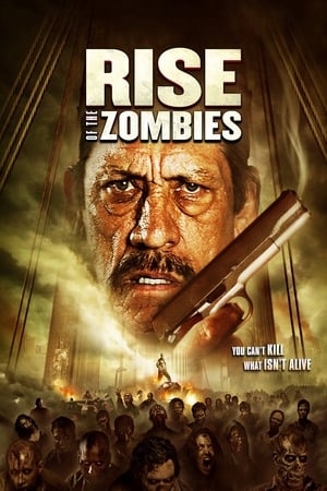 En dvd sur amazon Rise of the Zombies