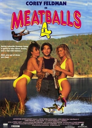 En dvd sur amazon Meatballs 4: To the Rescue