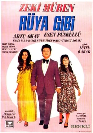 En dvd sur amazon Rüya Gibi