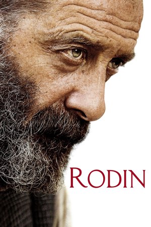 En dvd sur amazon Rodin