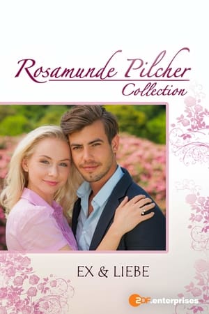 En dvd sur amazon Rosamunde Pilcher: Ex und Liebe