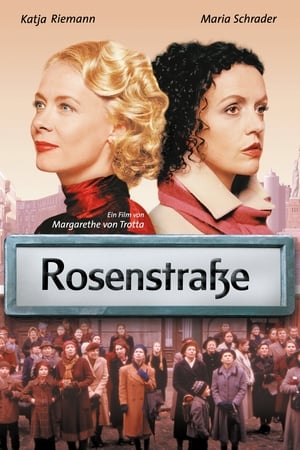 En dvd sur amazon Rosenstraße