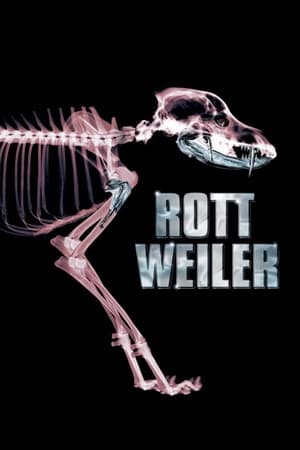 En dvd sur amazon Rottweiler