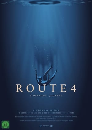 En dvd sur amazon Route 4