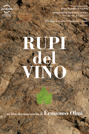 En dvd sur amazon Rupi del vino