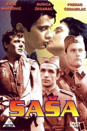 En dvd sur amazon Saša