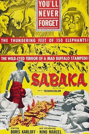 En dvd sur amazon Sabaka