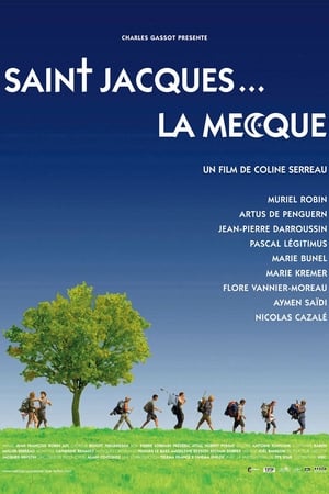En dvd sur amazon Saint-Jacques… La Mecque