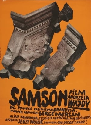 En dvd sur amazon Samson