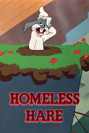 En dvd sur amazon Homeless Hare