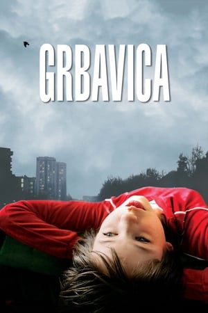 En dvd sur amazon Grbavica
